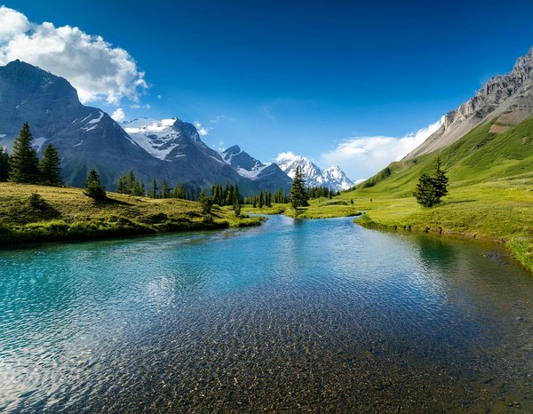 Où trouver les meilleures plages pour la plongée en apnée à Koh Tao, Thaïlande : conseils et périodes ?