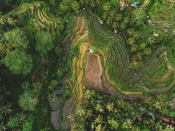 Quels sont les meilleurs endroits pour une retraite de yoga sur la plage à Bali, Indonésie?